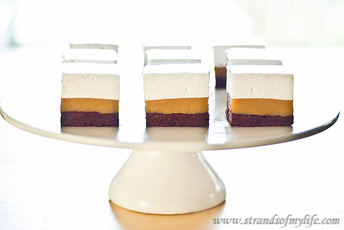Chocolate Caramel Marshmallow Bars by Strands of My Life