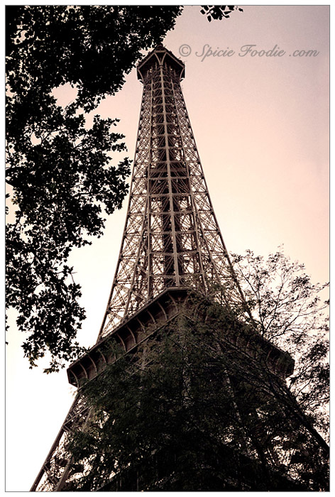 Tour Eiffel; La Tour Eiffel; Eiffel Tower; Paris; Travel; Champ de Mars; Eiffel Tower park; park; 7th Arrondisement; Park at Eiffel Tower; Sunday Snapshots; Photography; Food; Spicie Foodie
