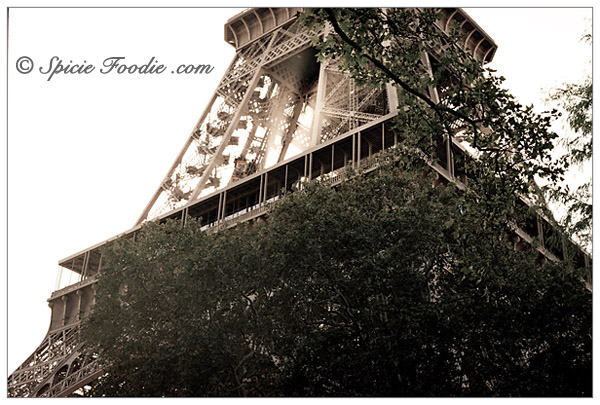 Tour Eiffel; La Tour Eiffel; Eiffel Tower; Paris; Travel; Champ de Mars; Eiffel Tower park; park; 7th Arrondisement; Park at Eiffel Tower; Sunday Snapshots; Photography; Food; Spicie Foodie
