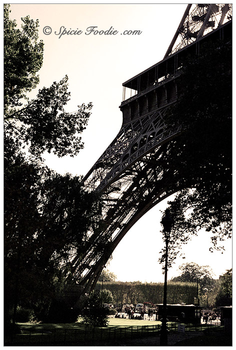 Tour Eiffel; La Tour Eiffel; Eiffel Tower; Paris; Travel; Champ de Mars; Eiffel Tower park; park; 7th Arrondisement; Park at Eiffel Tower; Sunday Snapshots; Photography; Food; Spicie Foodie