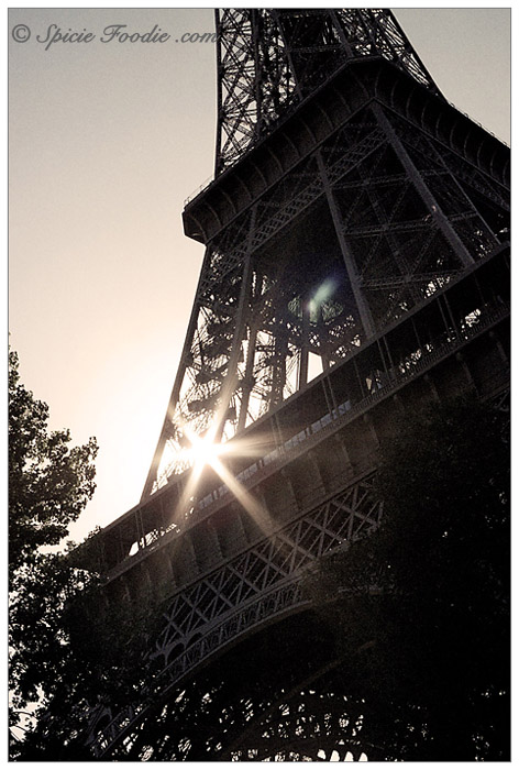 Tour Eiffel; La Tour Eiffel; Eiffel Tower; Paris; Travel; Champ de Mars; Eiffel Tower park; park; 7th Arrondisement; Park at Eiffel Tower; Sunday Snapshots; Photography; Food; Spicie Foodie