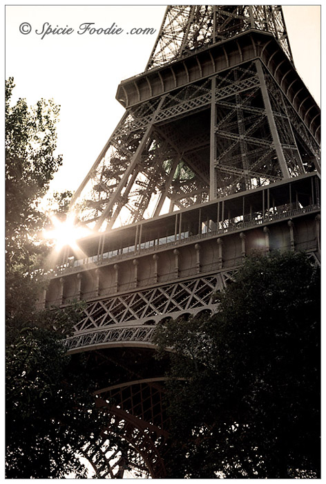 Tour Eiffel; La Tour Eiffel; Eiffel Tower; Paris; Travel; Champ de Mars; Eiffel Tower park; park; 7th Arrondisement; Park at Eiffel Tower; Sunday Snapshots; Photography; Food; Spicie Foodie