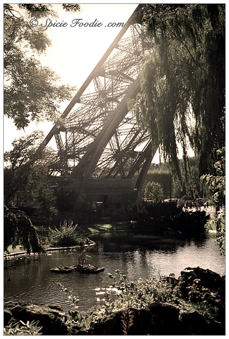 Tour Eiffel; La Tour Eiffel; Eiffel Tower; Paris; Travel; Champ de Mars; Eiffel Tower park; park; 7th Arrondisement; Park at Eiffel Tower; Sunday Snapshots; Photography; Food; Spicie Foodie