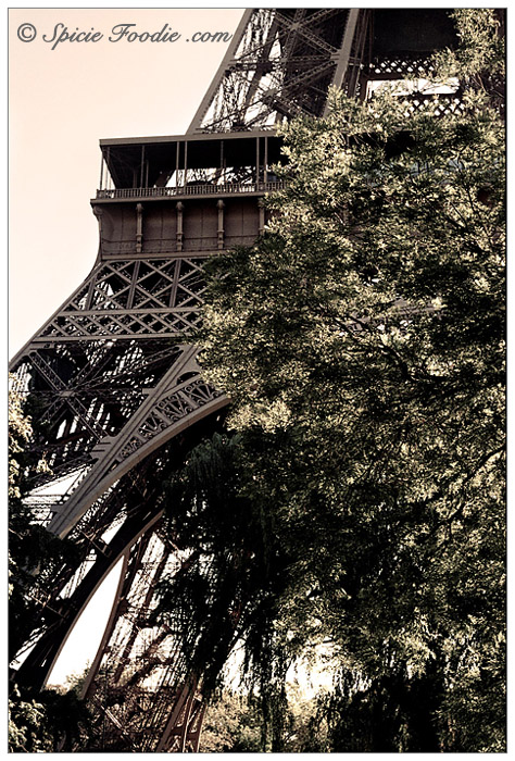 Tour Eiffel; La Tour Eiffel; Eiffel Tower; Paris; Travel; Champ de Mars; Eiffel Tower park; park; 7th Arrondisement; Park at Eiffel Tower; Sunday Snapshots; Photography; Food; Spicie Foodie