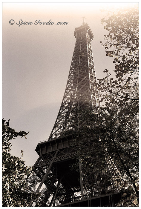 Tour Eiffel; La Tour Eiffel; Eiffel Tower; Paris; Travel; Champ de Mars; Eiffel Tower park; park; 7th Arrondisement; Park at Eiffel Tower; Sunday Snapshots; Photography; Food; Spicie Foodie
