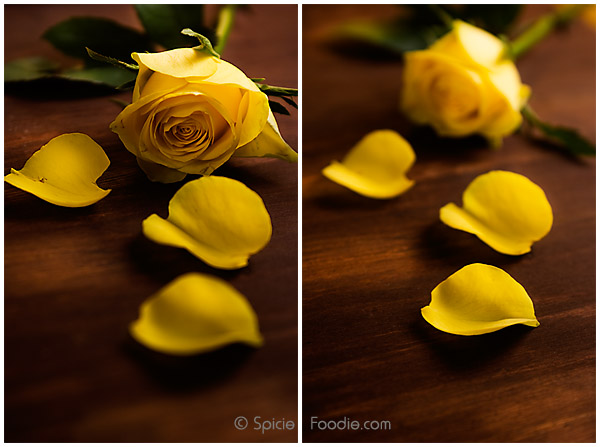 Sunday Snapshots; Yellow Roses; Spicie Foodie
