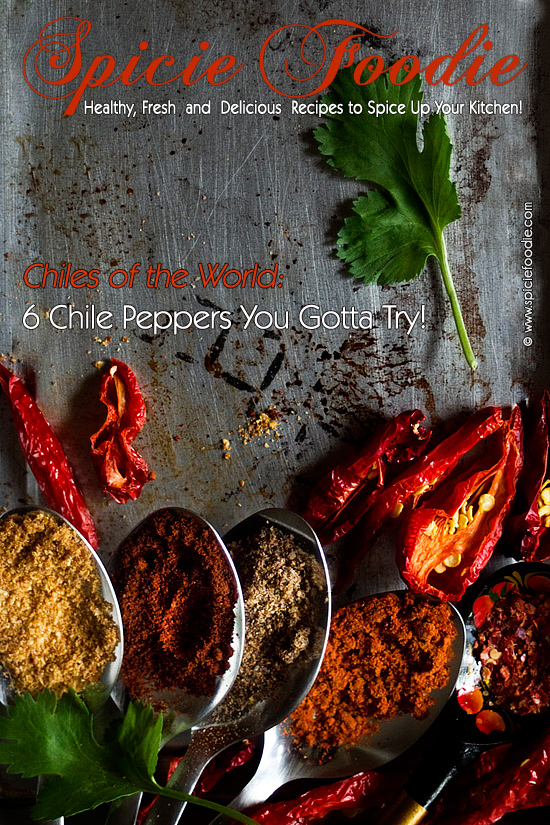 Chiles of the World: 6 Chiles You Gotta Try! by @SpicieFoodie | #chiles #worldchillies 