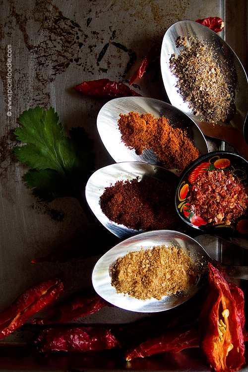 Chiles of the World: 6 Chiles You Gotta Try! by @SpicieFoodie | #chiles #worldchillies 