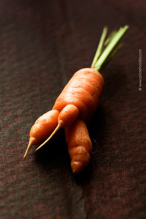 Sunday Snapshots: Things I love This Week #2 | #food #foodphotography