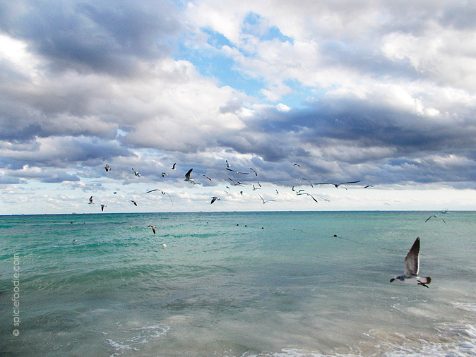 Sunday Snapshots: Beach Stroll by @SpicieFoodie | #photography #beach #beachlife #Mexico #Playa