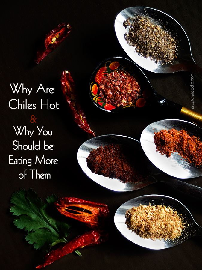 Why Are Chiles Hot by @SpicieFoodie