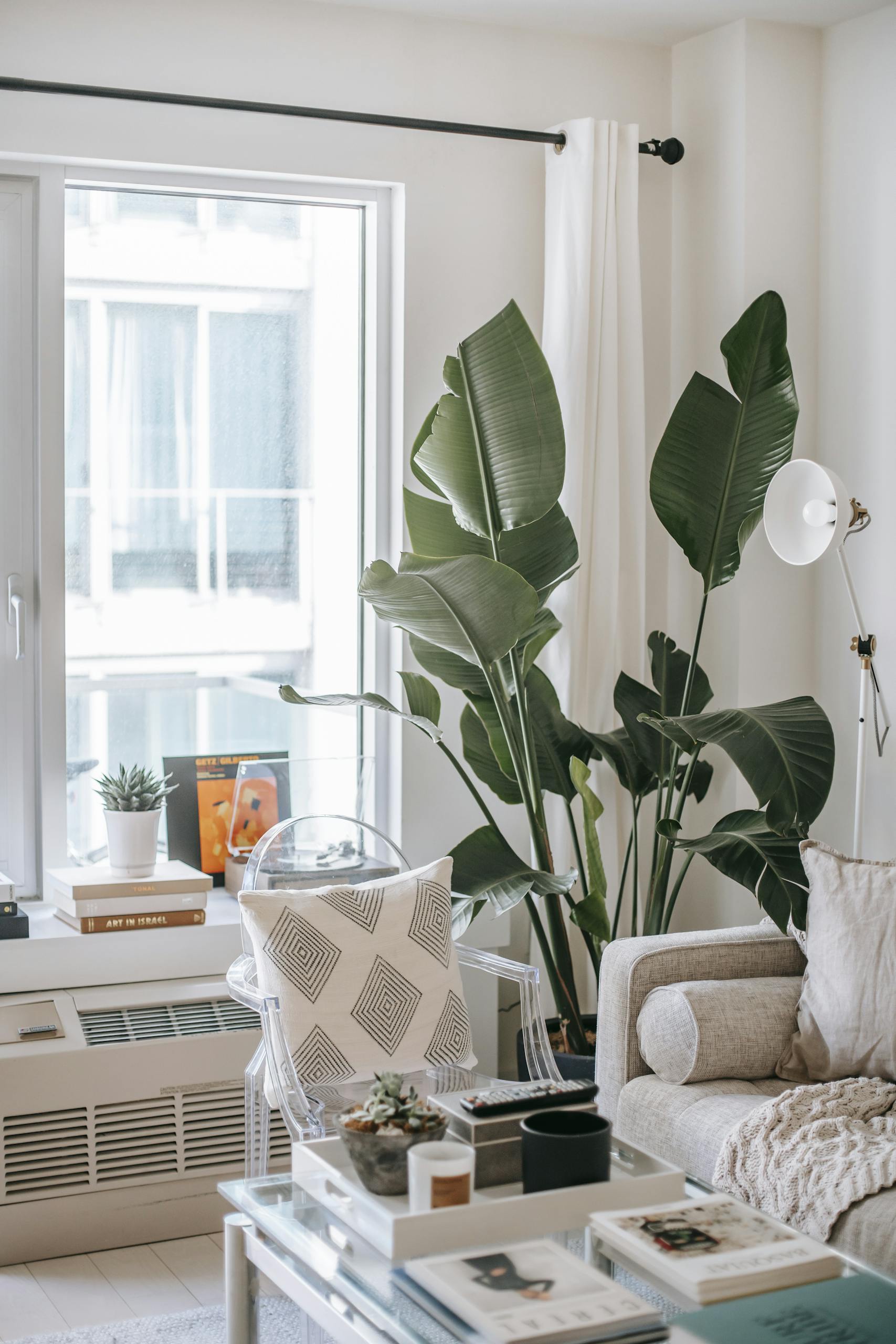 Stylish living room featuring lush houseplants, natural light, and modern decor creating a cozy atmosphere.